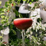 1300 Taberna Bebida