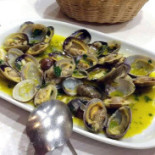 Moises Comida