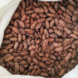 Miosotis Nourriture