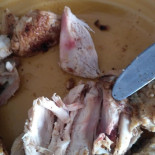 Chickinho Nourriture