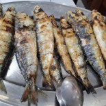 Farol Comida