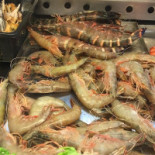 Cabrinha A Nourriture