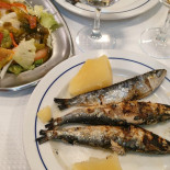 O Tacho Nourriture