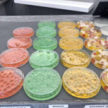 Bubble Lab Nourriture