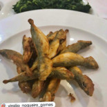 Sem Dúvida Comida