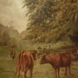 Valle Flor Dentro