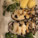 Andorinhas Nourriture