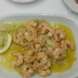 Andorinhas Nourriture