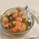 Andorinhas Nourriture