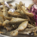 Fraga Essen
