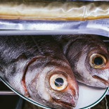 Canalha Comida
