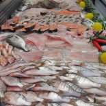 O Tal Comida
