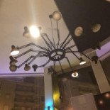 Tintim Cafe Boisson