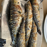 Fonte Mar Nourriture
