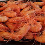 Mariscos E Petiscos Boisson