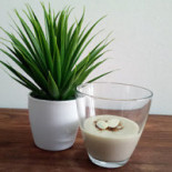 Fast Vegan Bebida