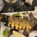Invicta Madragoa Essen