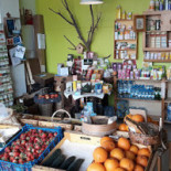 Bio Thomar À l'intérieur