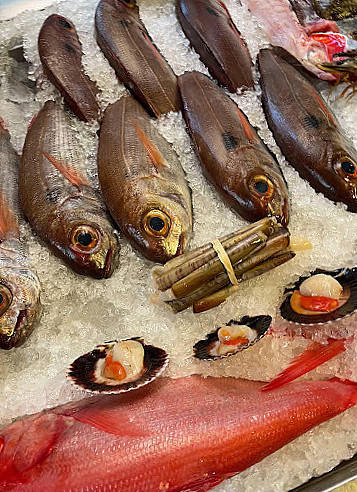 Ostras Coisas Comida