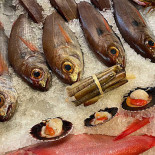 Ostras Coisas Comida