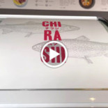 Chirashi Sushi e Ramen Logo