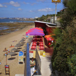 Avencas Exterior