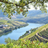 Vale Do Douro Extérieur