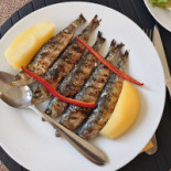 O Navegador Comida