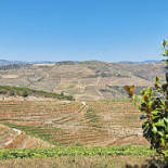 Quinta Dos Magusteiros Extérieur