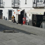 O Gingao Extérieur