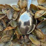Capri Bebida