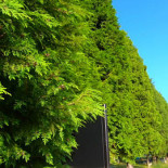 Parque Extérieur