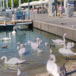 Meet Parque Extérieur