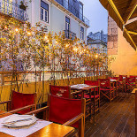 Tapa Bucho Exterior