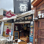 Bull Dog Extérieur