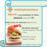 Salmon Burger Carta