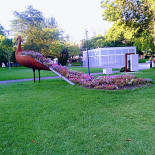 Jardim Extérieur