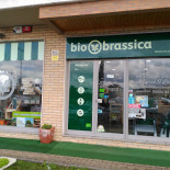 Biobrassica Exterior