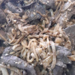 Toc Toc Essen