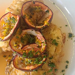 Dom Peixe Cibo