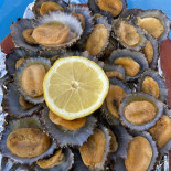 Brisa Do Mar Nourriture