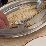 O Golfinho Comida