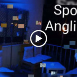Anglibar À l'intérieur