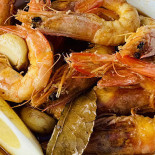 Pássaro Azul Comida