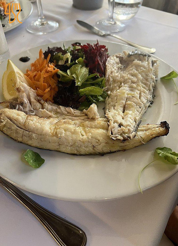 Squash Restaurante Comida