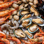 Son Of A Fish F#king Gourmet Bebida