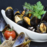 Son Of A Fish F#king Gourmet Bebida