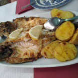 Pica-peixe Nourriture