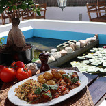 Coruja Chef Comida