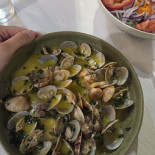 Snack Romba Comida